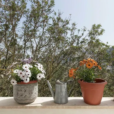 Willa Casa Capaianca *
