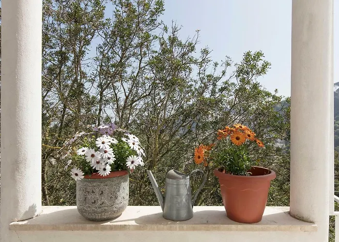 וילה Casa Capaianca *